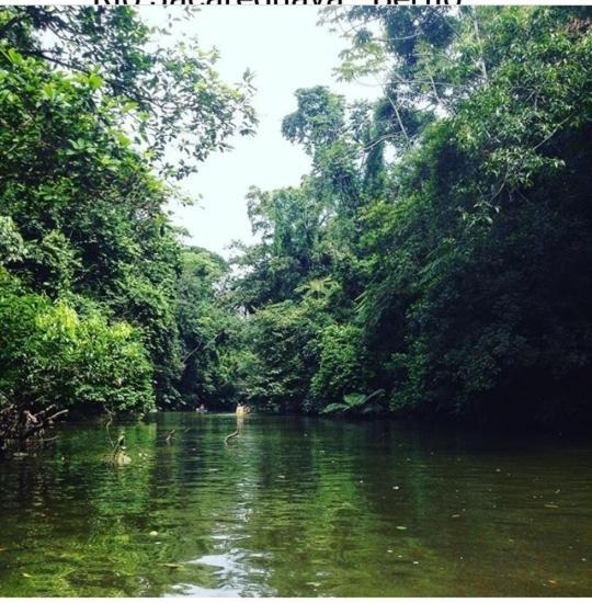 Suites Proximo Ao Rio Jaguareguava Em Bertioga Kültér fotó